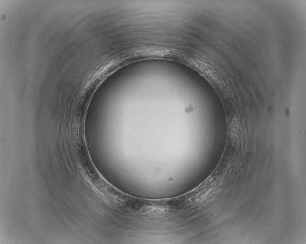 X0000062670352200601041015