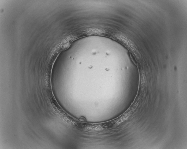 X0000062670353200601041015