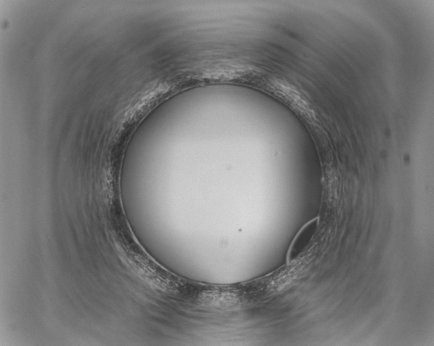 X0000062670354200601041015