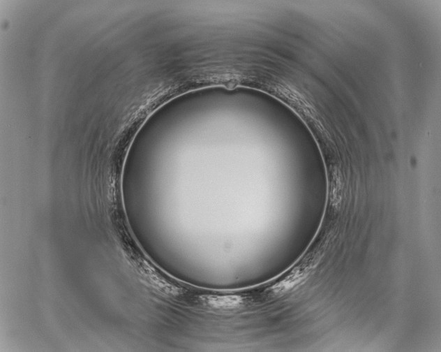 X0000062670355200601041015