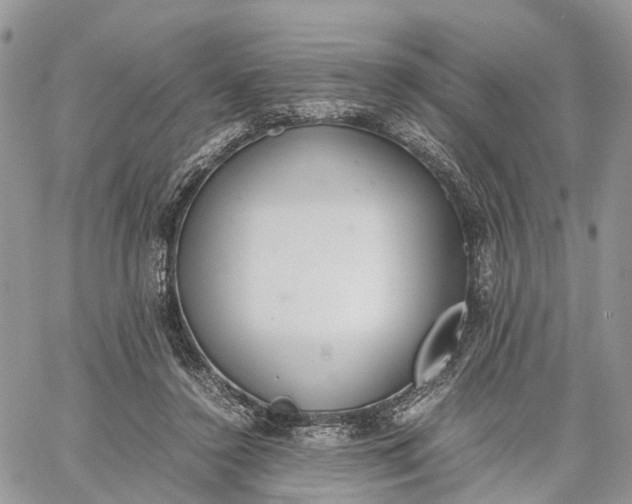 X0000062670356200601041015