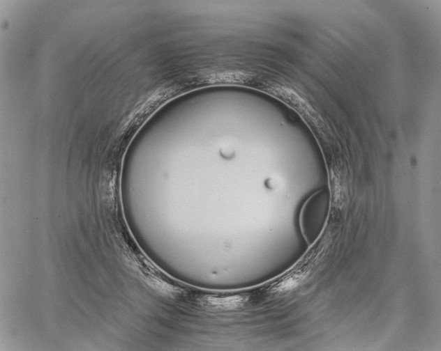 X0000062670357200601041015