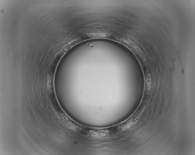 X0000062670359200601041015