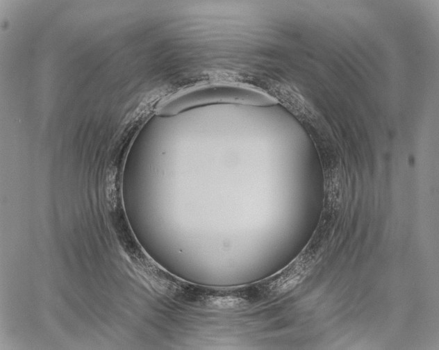 X0000062670360200601041015