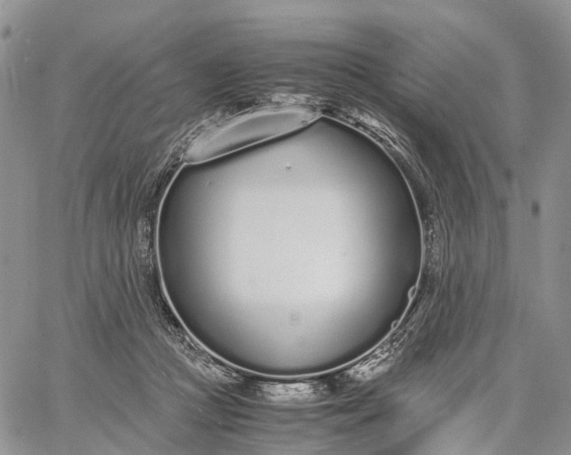 X0000062670361200601041015