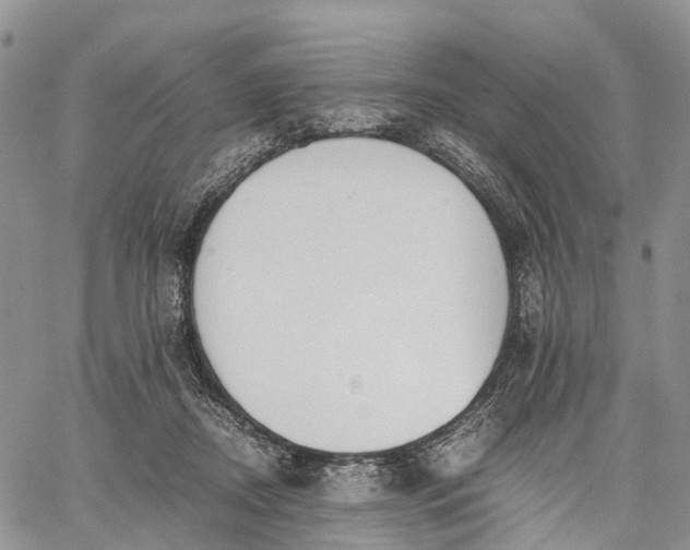 X0000062670362200601041015