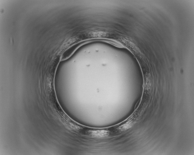 X0000062670363200601041015