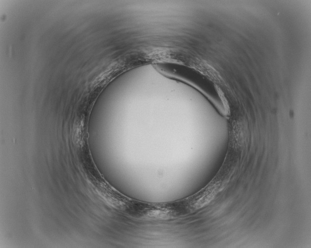 X0000062670364200601041016