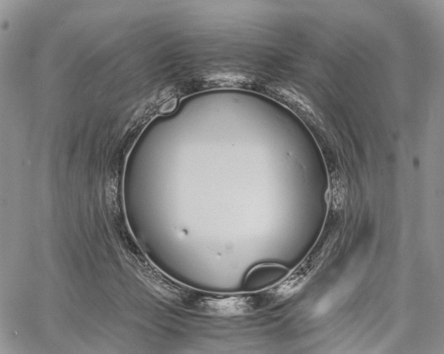 X0000062670365200601041016