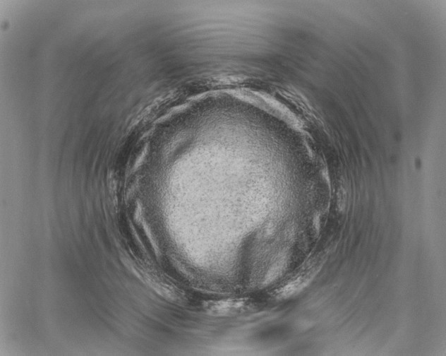 X0000062670366200601041016