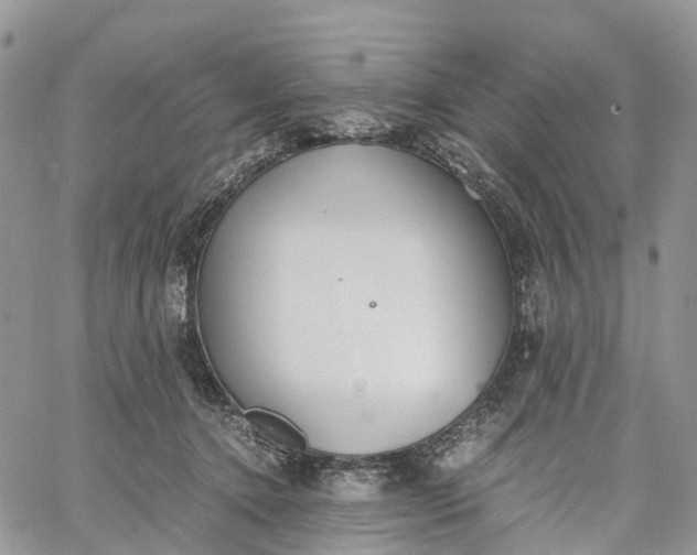 X0000062670368200601041016