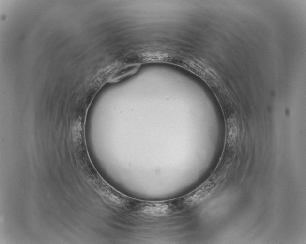 X0000062670369200601041016