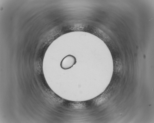 X0000062670370200601041016