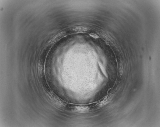 X0000062670371200601041016