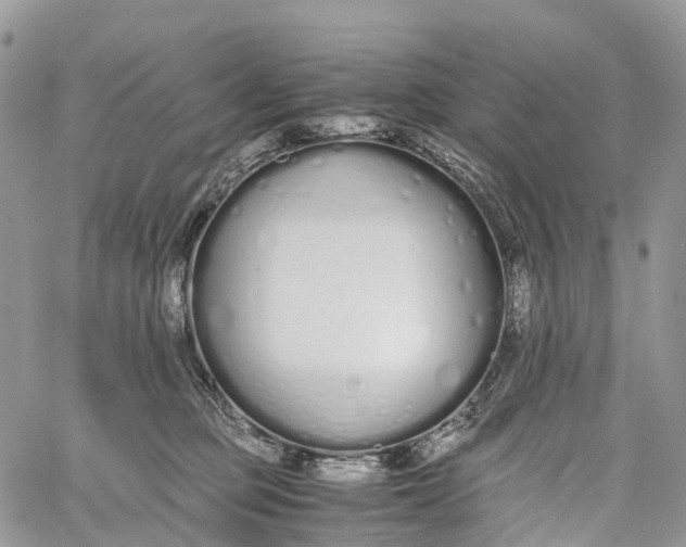 X0000062670373200601041016