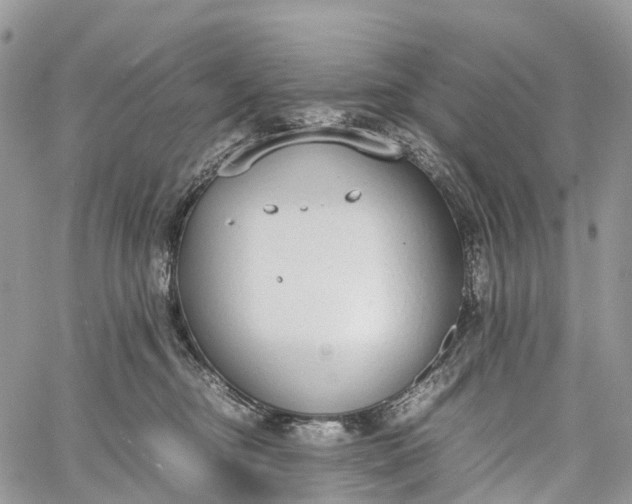 X0000062670374200601041016