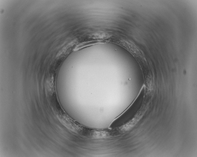 X0000062670376200601041016