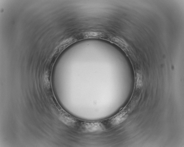 X0000062670377200601041016