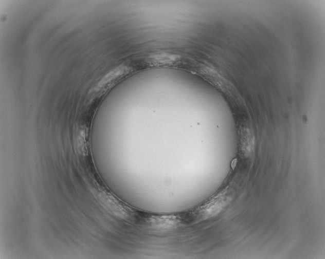 X0000062670378200601041016