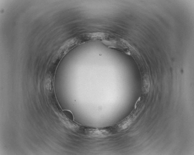 X0000062670379200601041016