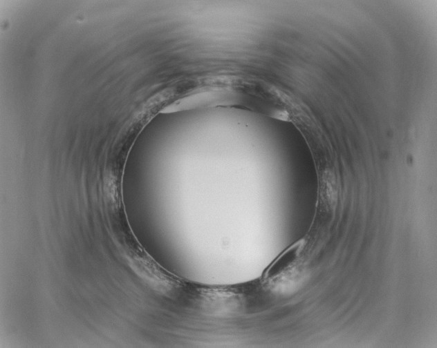 X0000062670380200601041016