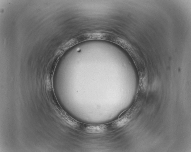 X0000062670381200601041016