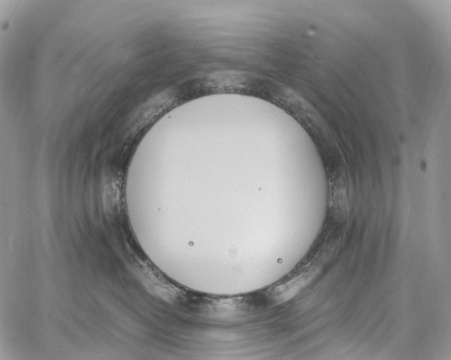 X0000062670382200601041016