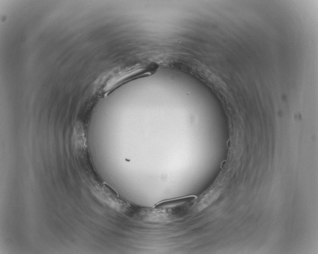 X0000062670384200601041016