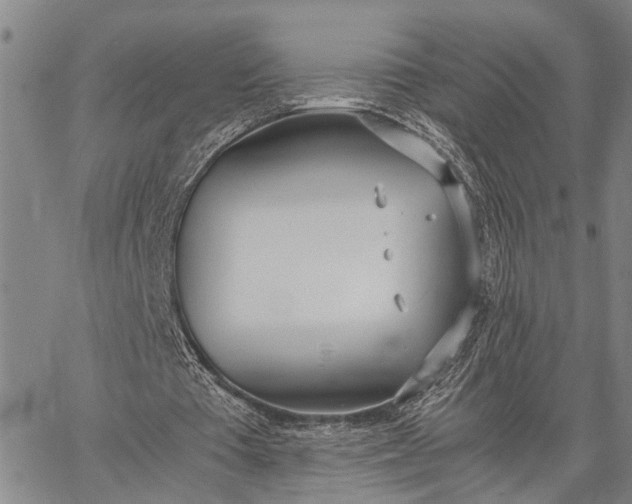 X0000062670385200601041015