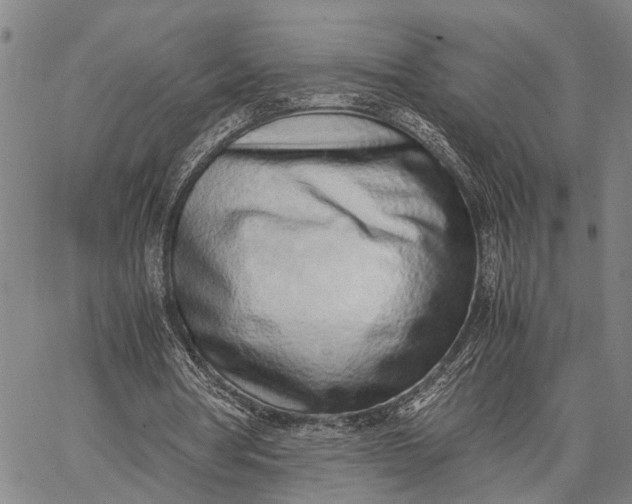 X0000062670386200601041015