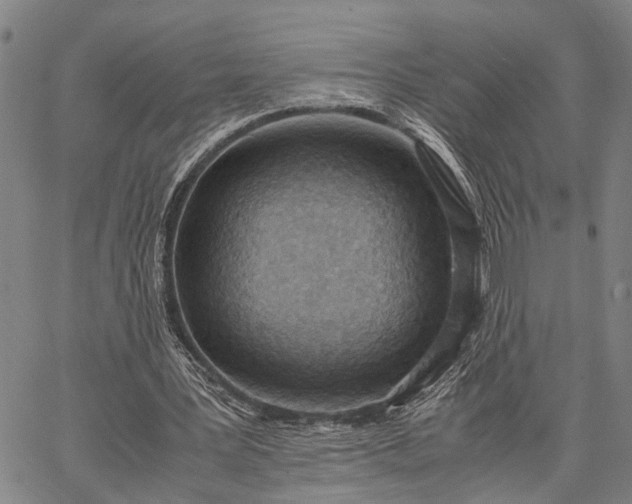 X0000062670387200601041015