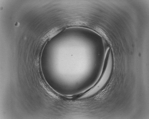 X0000062670389200601041015