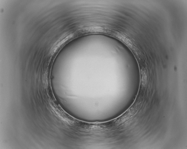 X0000062670390200601041015