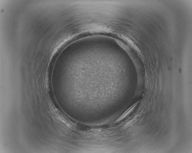 X0000062670391200601041015