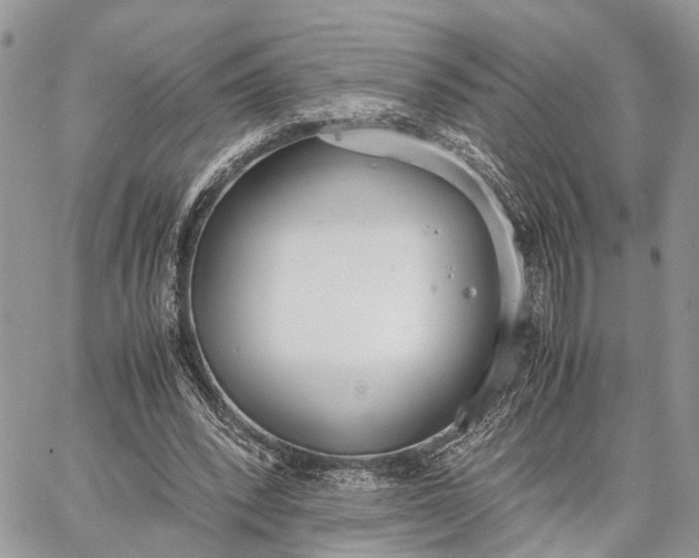 X0000062670392200601041015