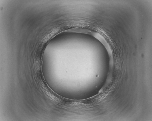 X0000062670393200601041015