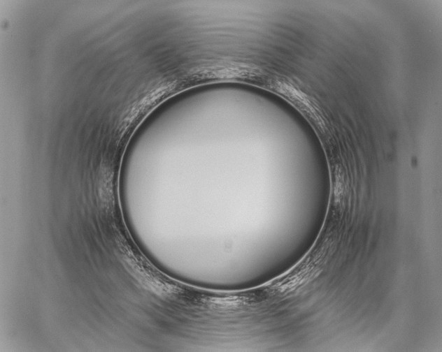 X0000062670394200601041015