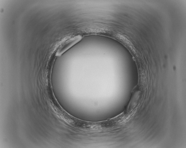 X0000062670395200601041015