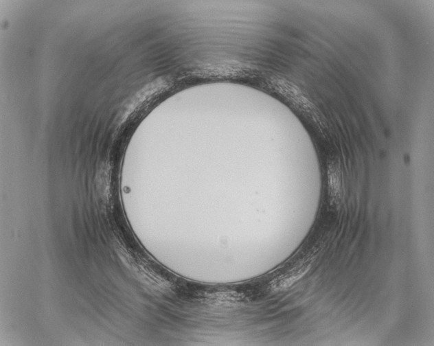 X0000062670396200601041015