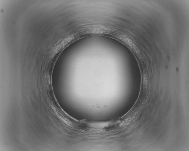 X0000062670397200601041015