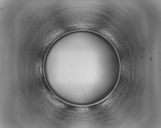 X0000062670398200601041015