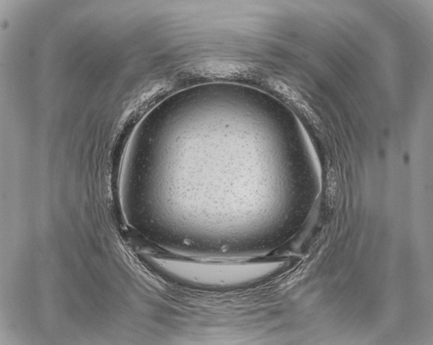 X0000062670399200601041015