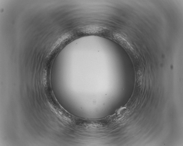 X0000062670400200601041015