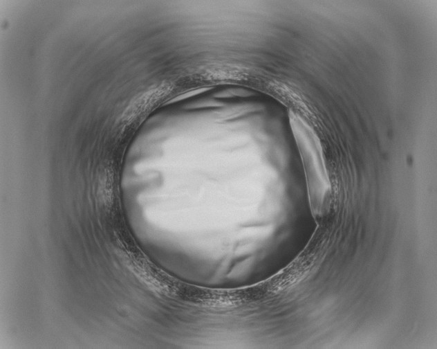 X0000062670402200601041015