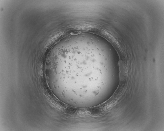 X0000062670403200601041015