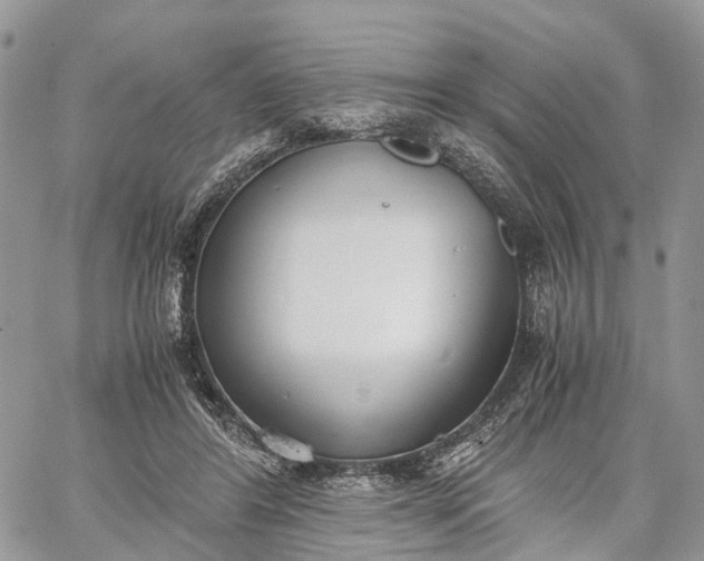 X0000062670404200601041015