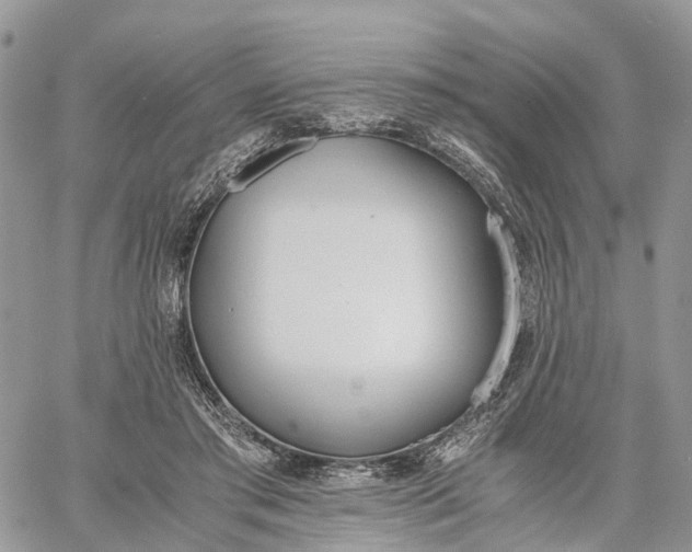 X0000062670405200601041015