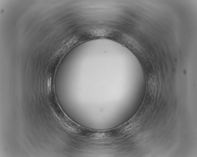 X0000062670406200601041015