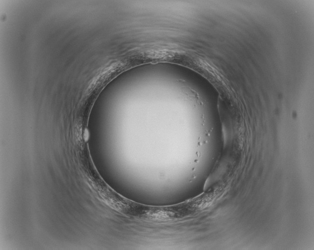 X0000062670407200601041015