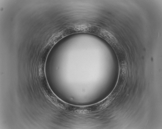 X0000062670408200601041015